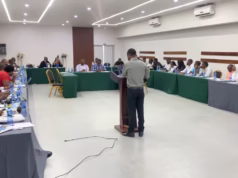 Sociedade Civil defende diversificação económica para reduzir dependência do gás